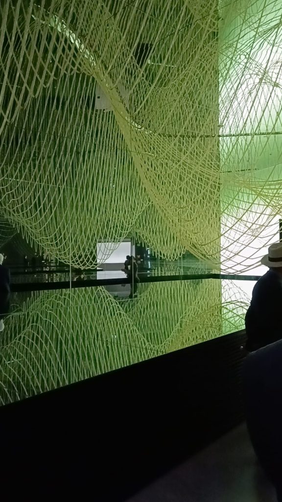 WhatsApp-Image-2025-06-18-at-08.11.21-4-1